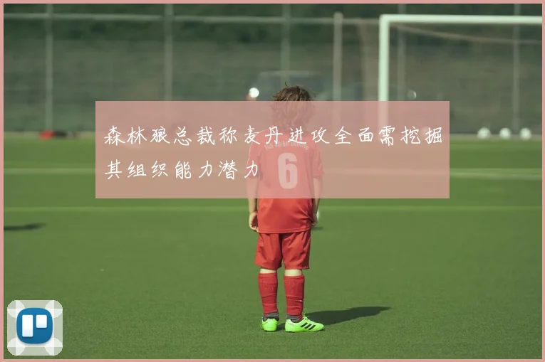 森林狼总裁称麦丹进攻全面需挖掘其组织能力潜力