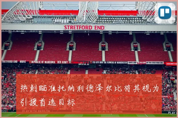 热刺瞄准托纳利德泽尔比将其视为引援首选目标